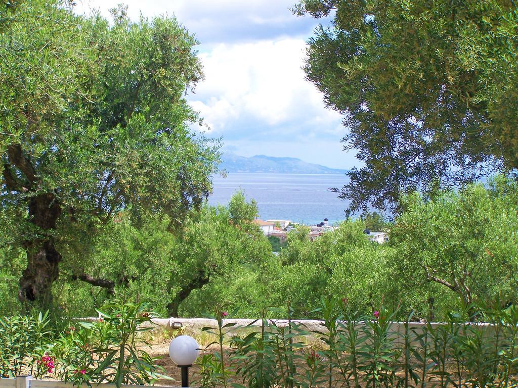 Pouliezos Koklanis Zante Apartments Alykes  Exteriör bild